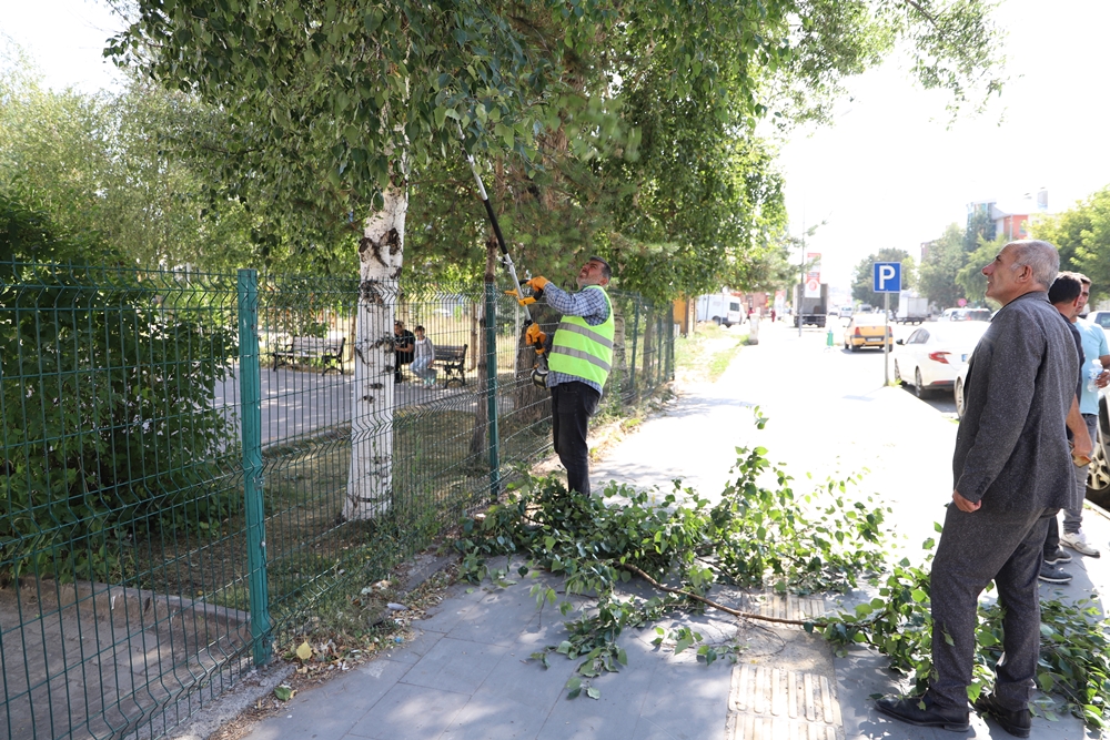 ARDAHAN BELEDİYESİ’NDEN AĞAÇ BUDAMA ÇALIŞMASI