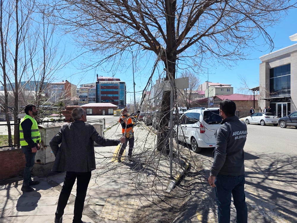BELEDİYE EKİPLERİ’NDEN AĞAÇ BUDAMA ÇALIŞMASI